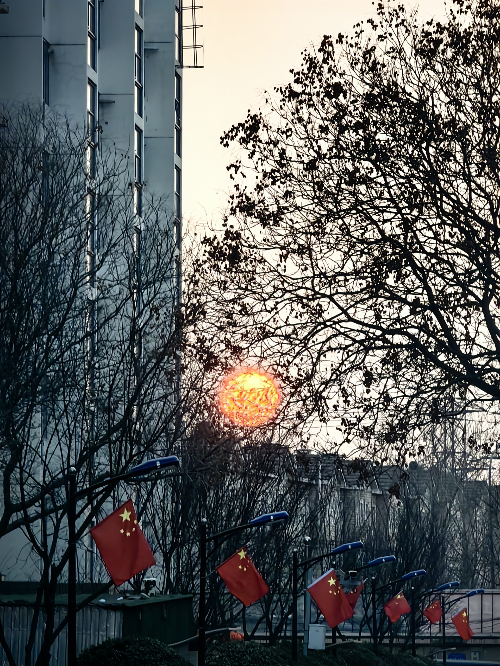 随手拍