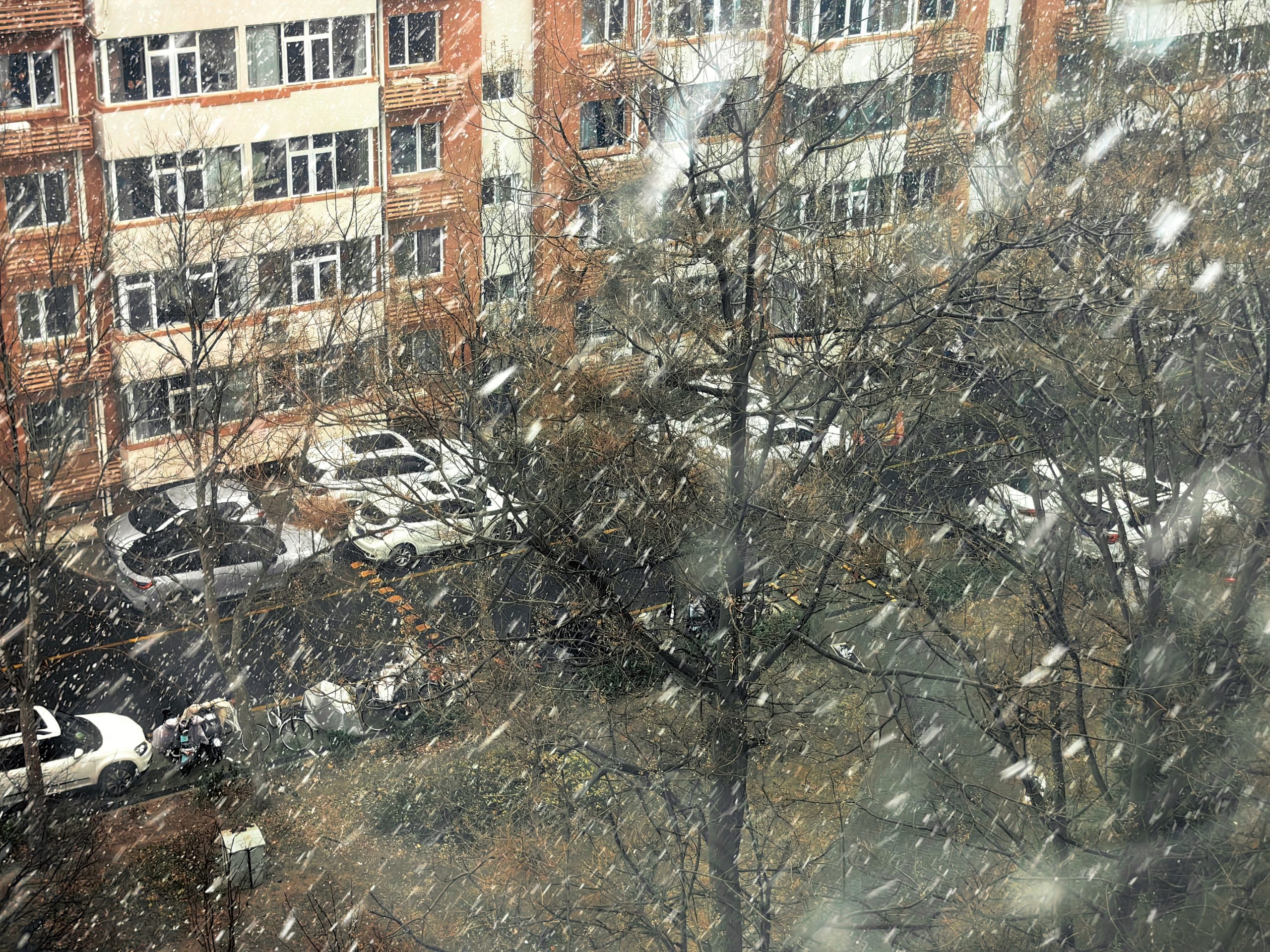 2025年的第一场雪
