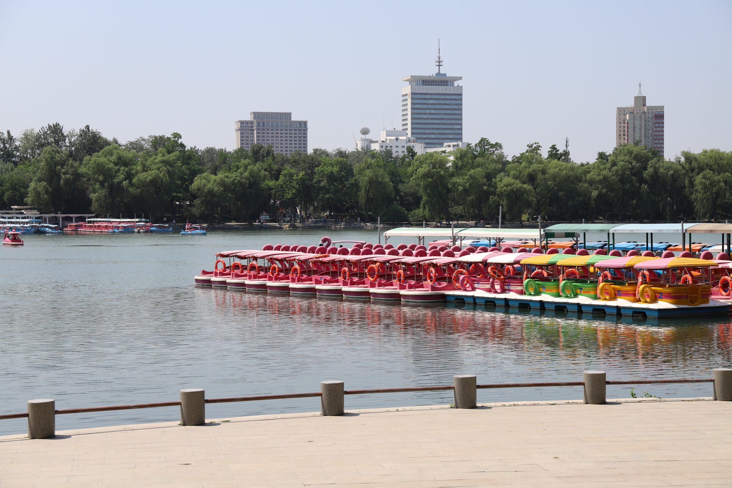 北京玉渊潭公园半日游