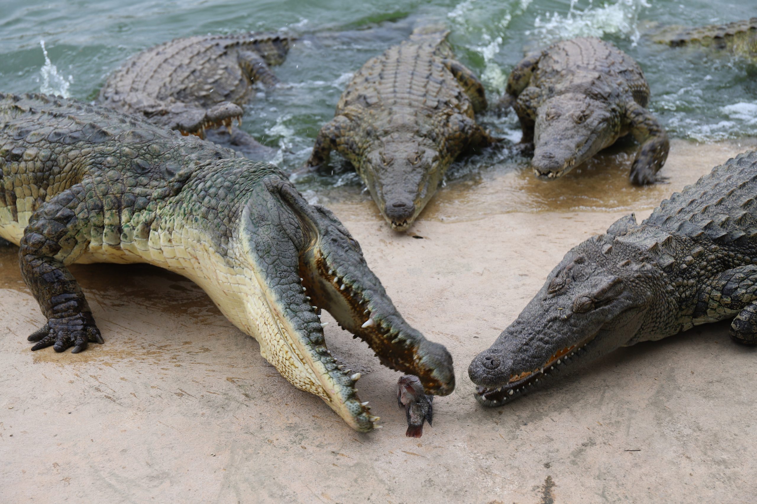 东方市，物美价廉的旅居城市