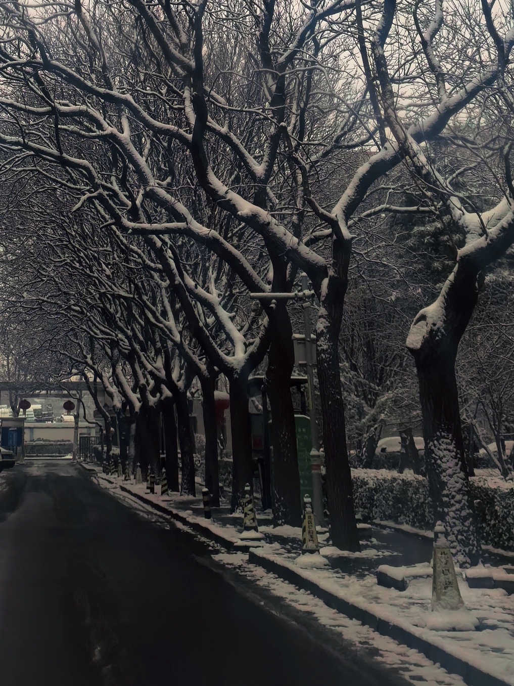 瑞雪兆丰年，久违的雪